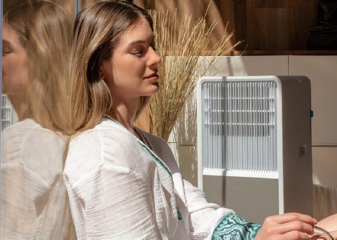 No le temas a la ola de calor: cinco aires acondicionados o ventiladores que puedes tener recibir en menos de 24 horas en casa