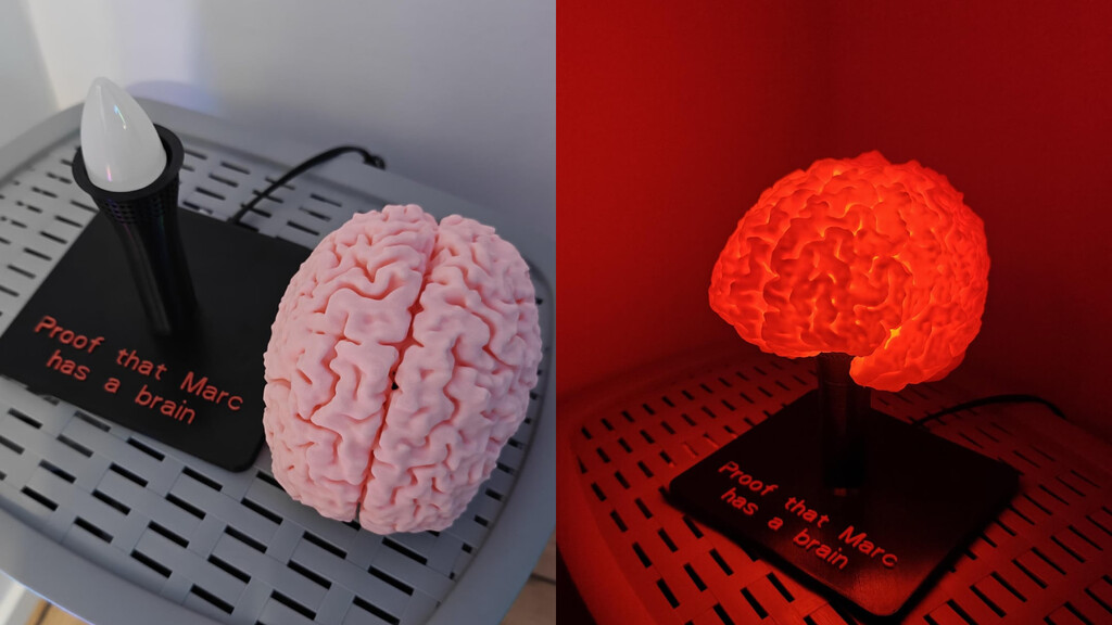 Alguien ha impreso en 3D su propio cerebro para convertirlo en una lámpara. Lo mejor es que tú también lo puedes hacer