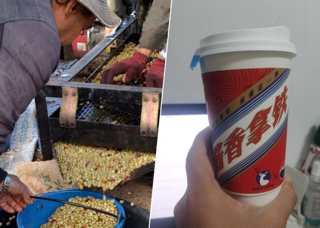 Ya sabemos quién se va a beber todo el café que Brasil no va a exportar a EEUU por los aranceles: China